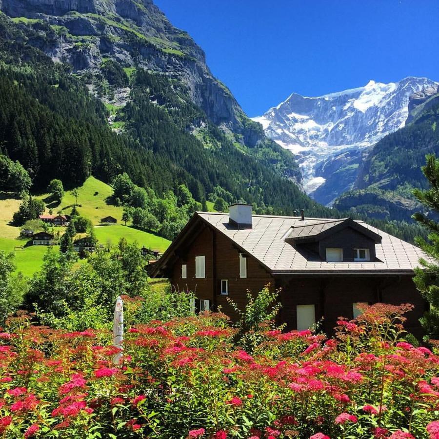 Chalet Pfingsteggblick Grindelwald Buitenkant foto