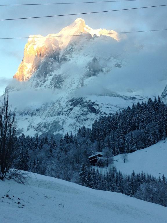 Chalet Pfingsteggblick Grindelwald Buitenkant foto