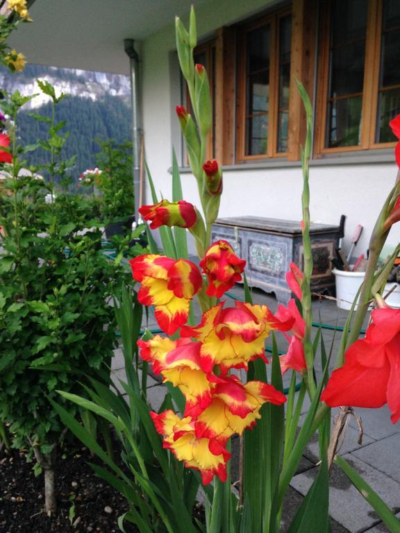 Chalet Pfingsteggblick Grindelwald Buitenkant foto