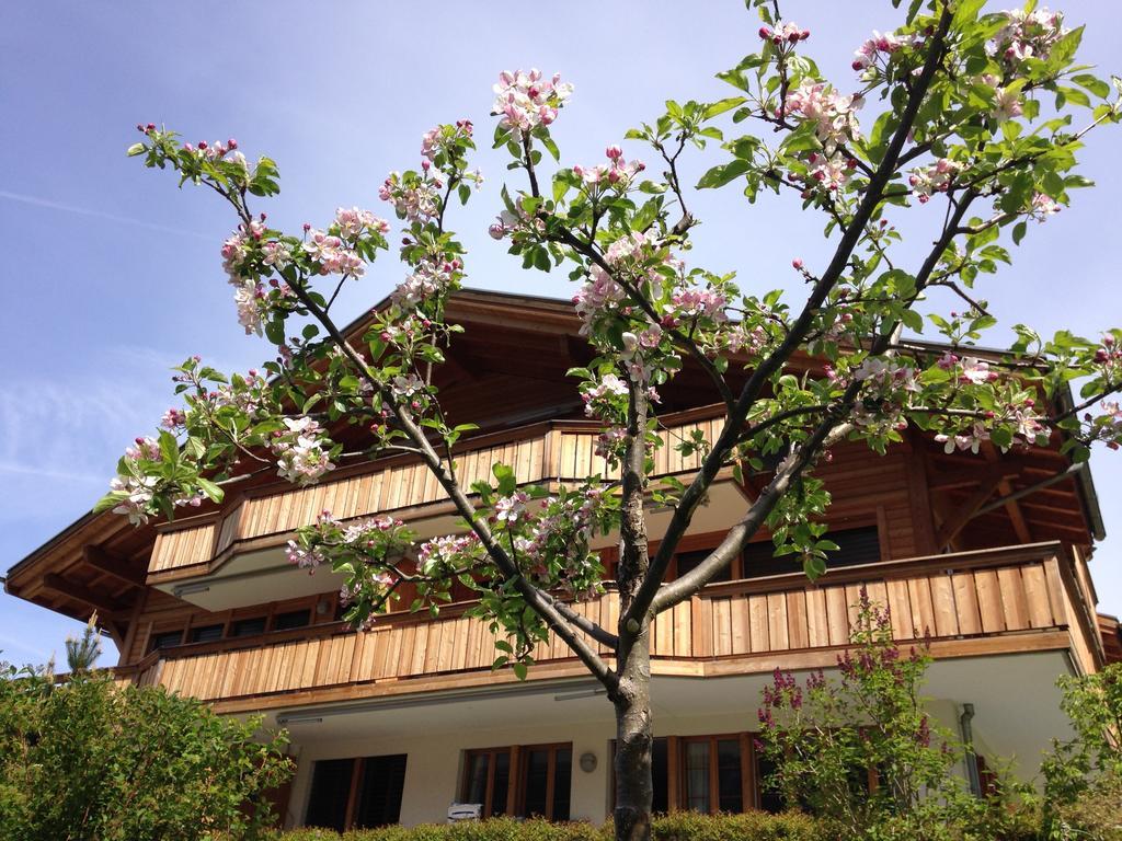 Chalet Pfingsteggblick Grindelwald Buitenkant foto